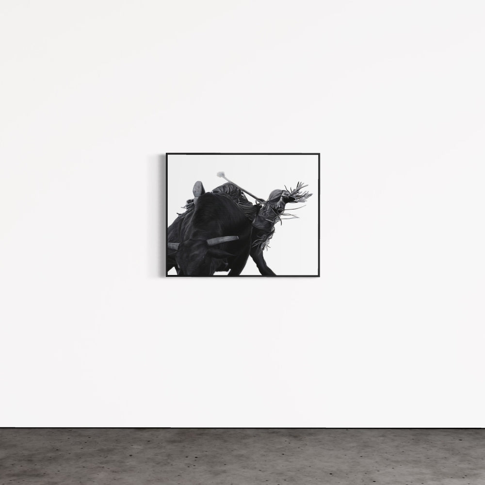 Framed black and white artwork of a bull on a white wall.
