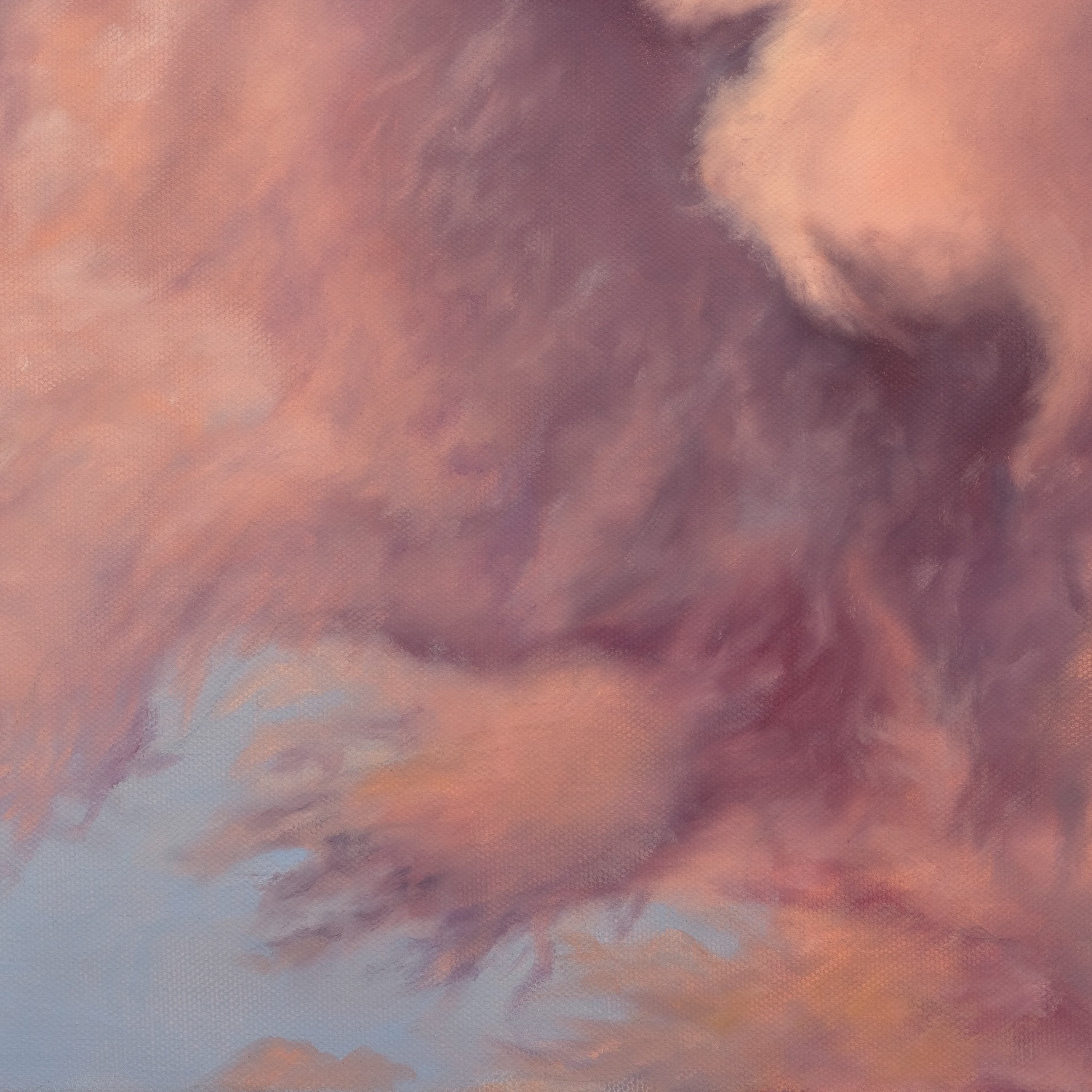 Close-up of a fluffy, multicolored fabric texture