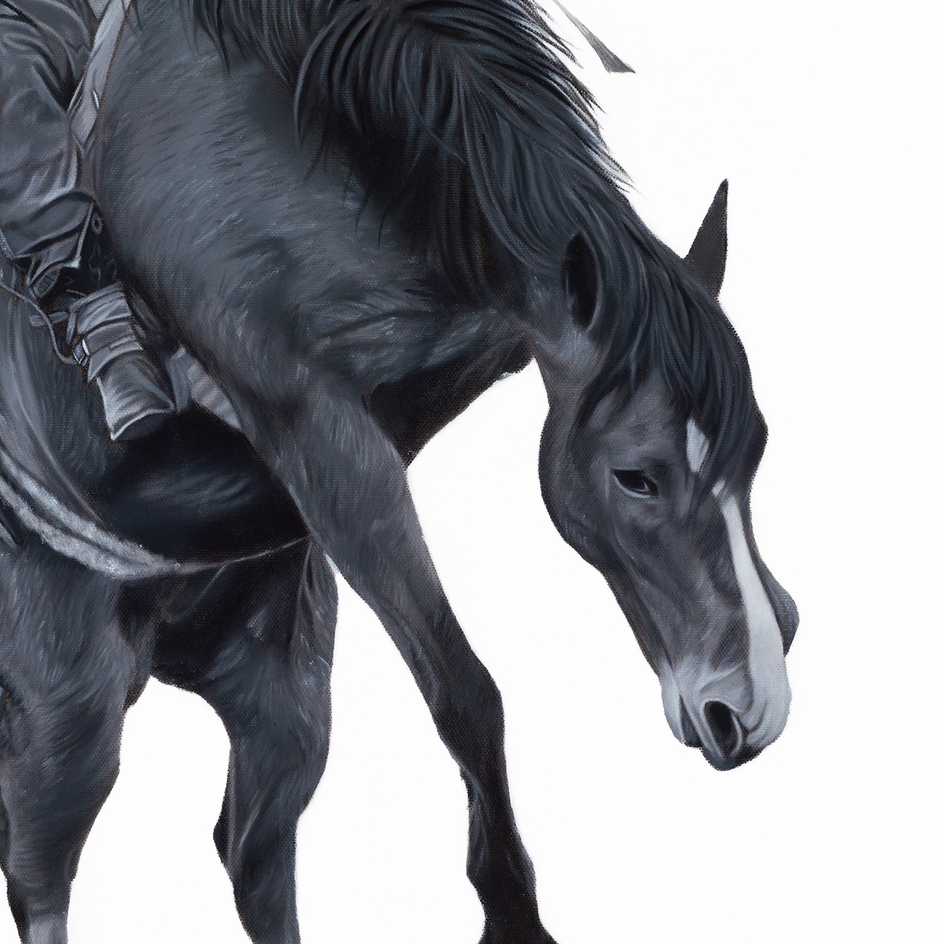 Gray horse with a rider on a white background