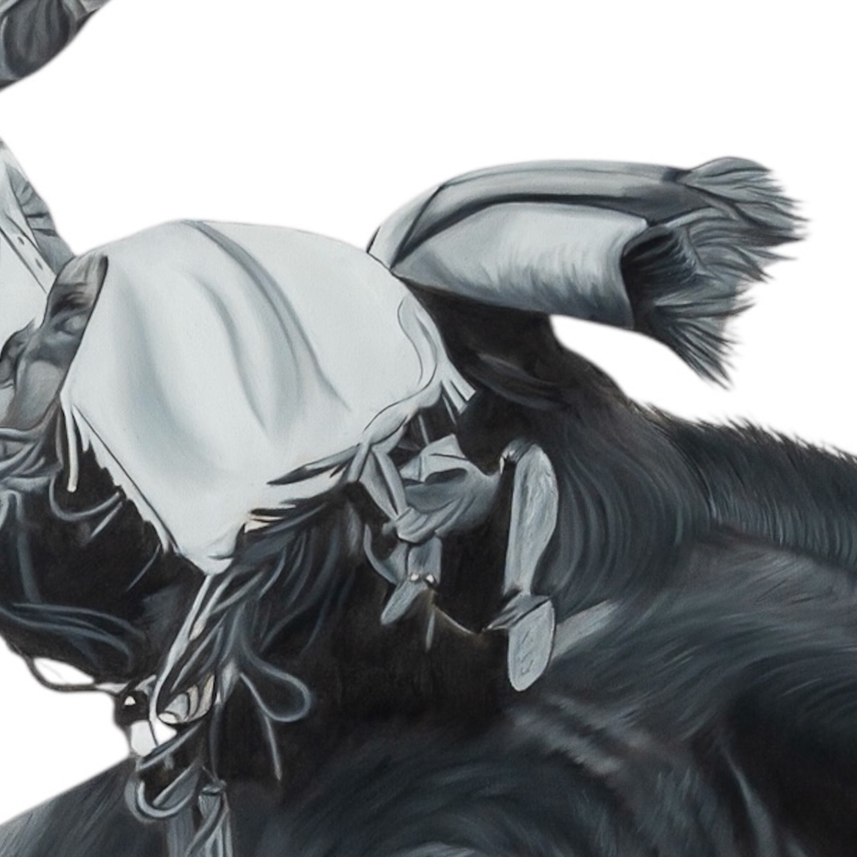 Close-up of a horse with a bridle on a white background