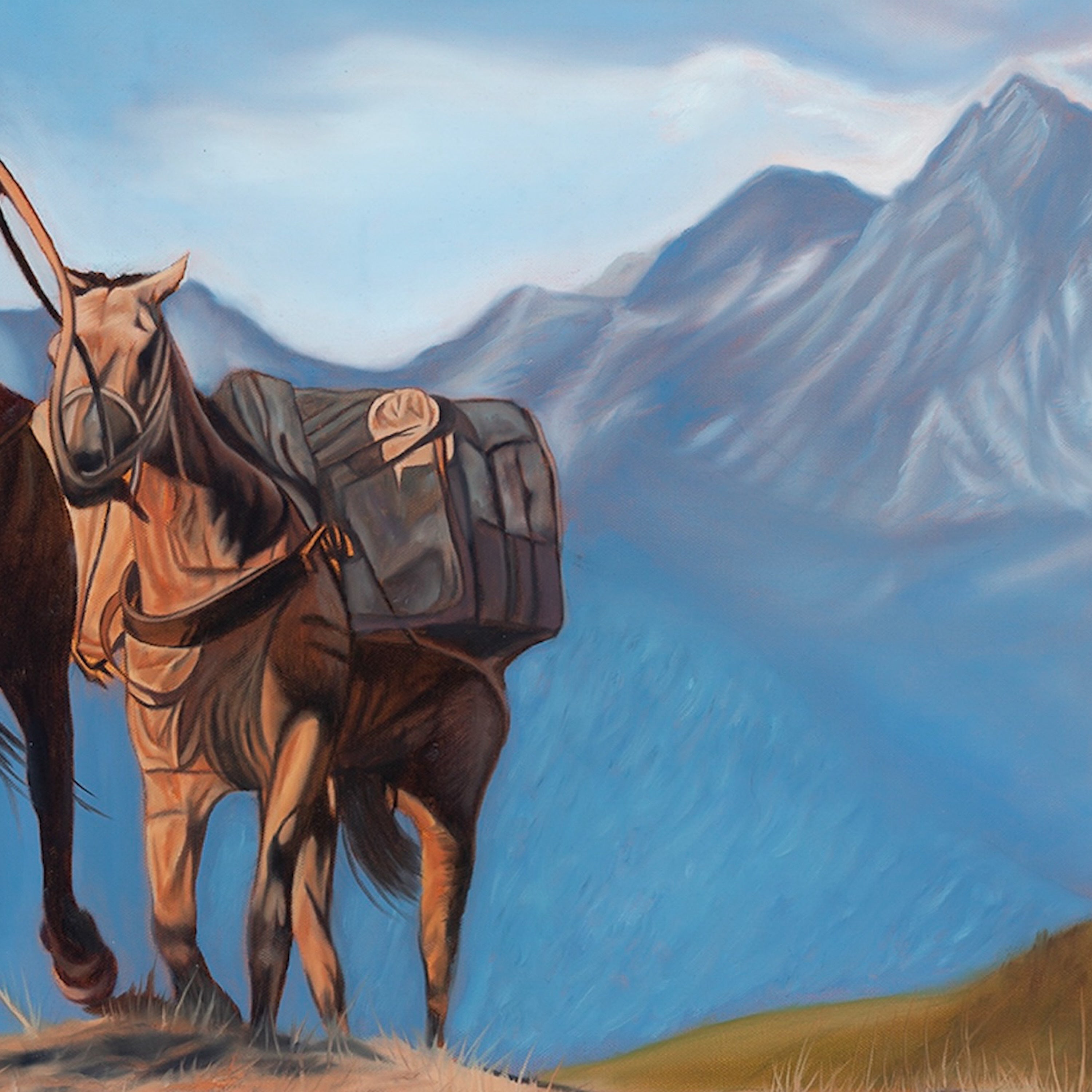 Horse with a saddle pack in a mountainous landscape
