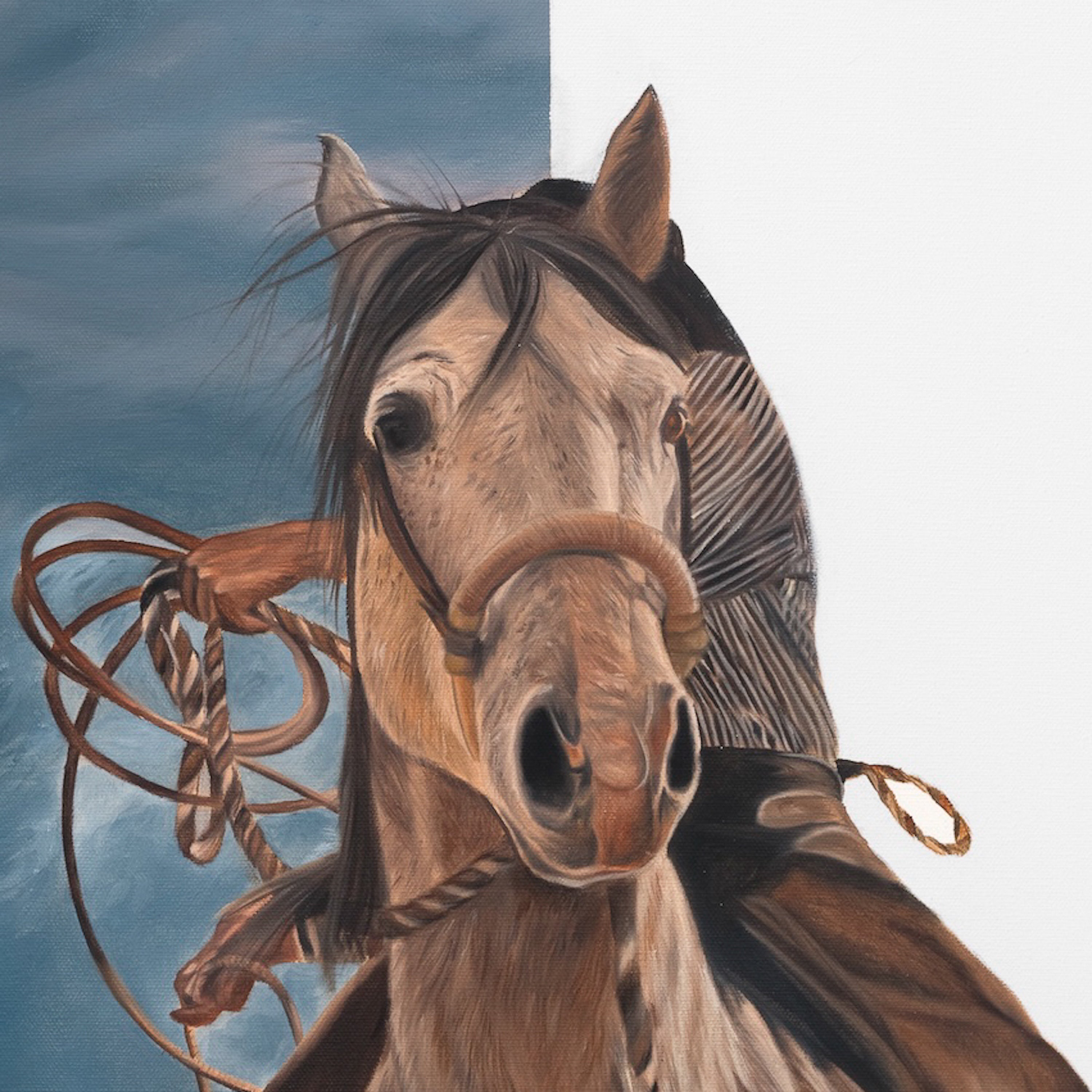 Close-up of a horse's face with a bridle against a blue and white background