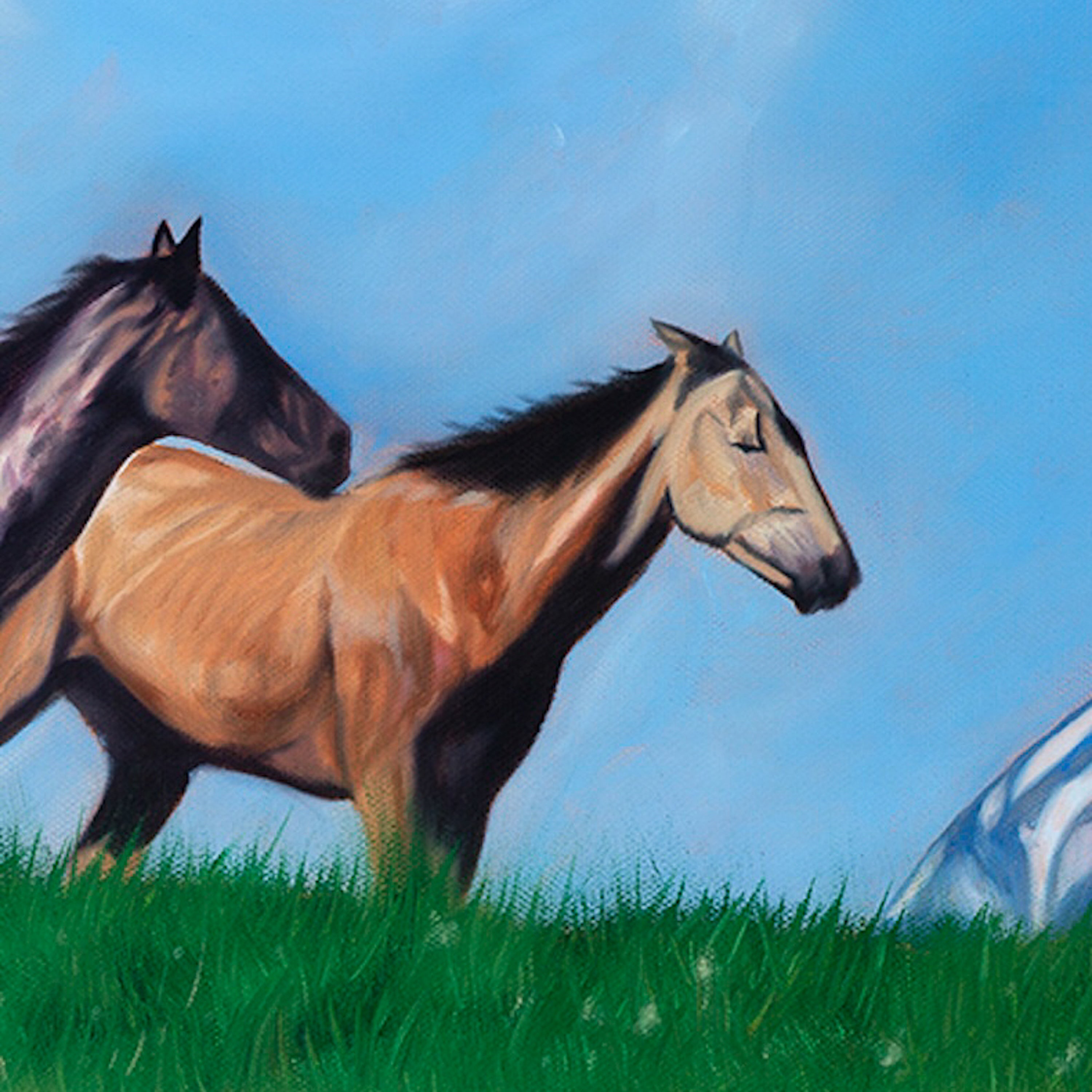 Hunt For the Sun To Wonder