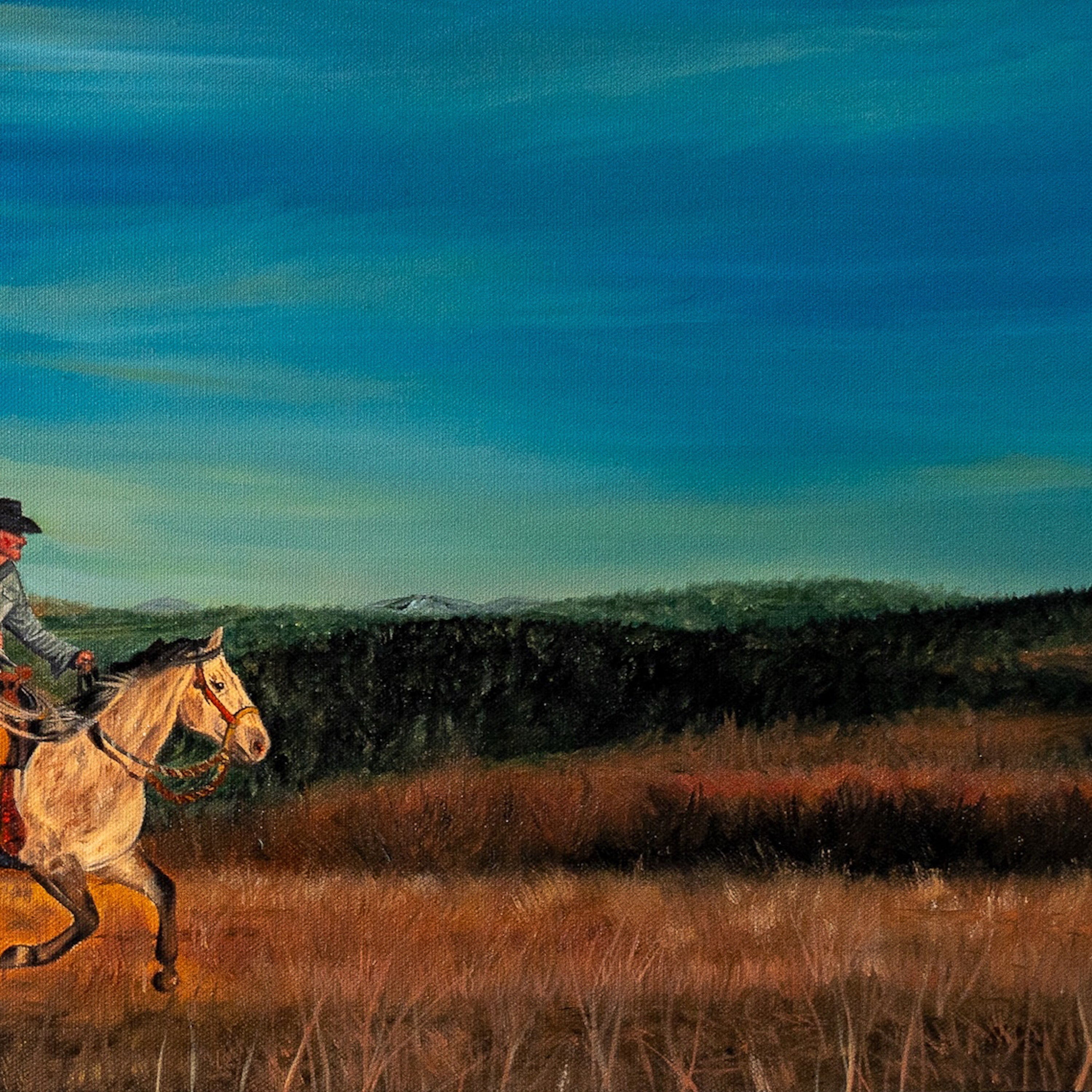 Person riding a horse in a field with a blue sky and green hills in the background