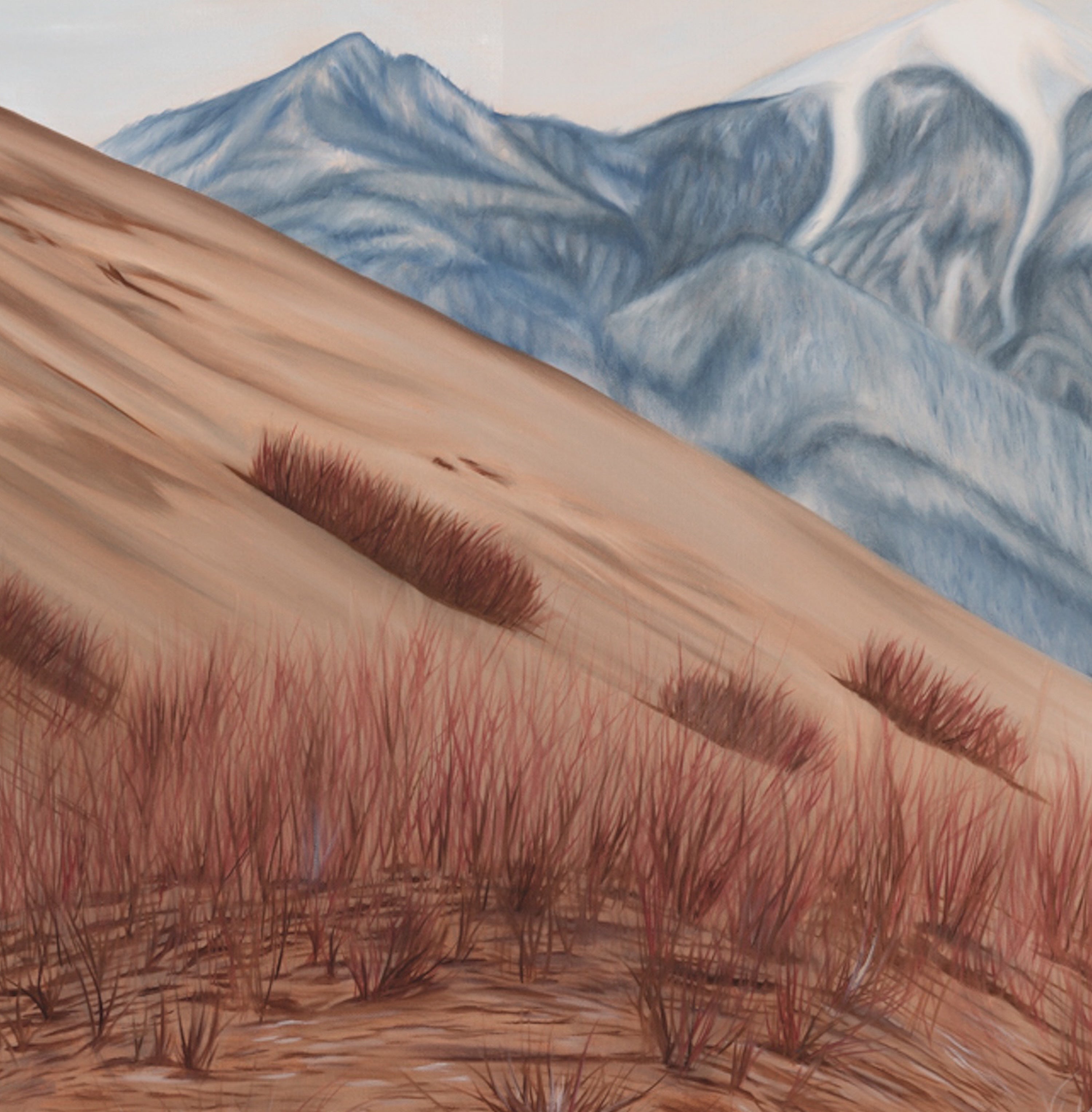 Looking Back on the Years Gone