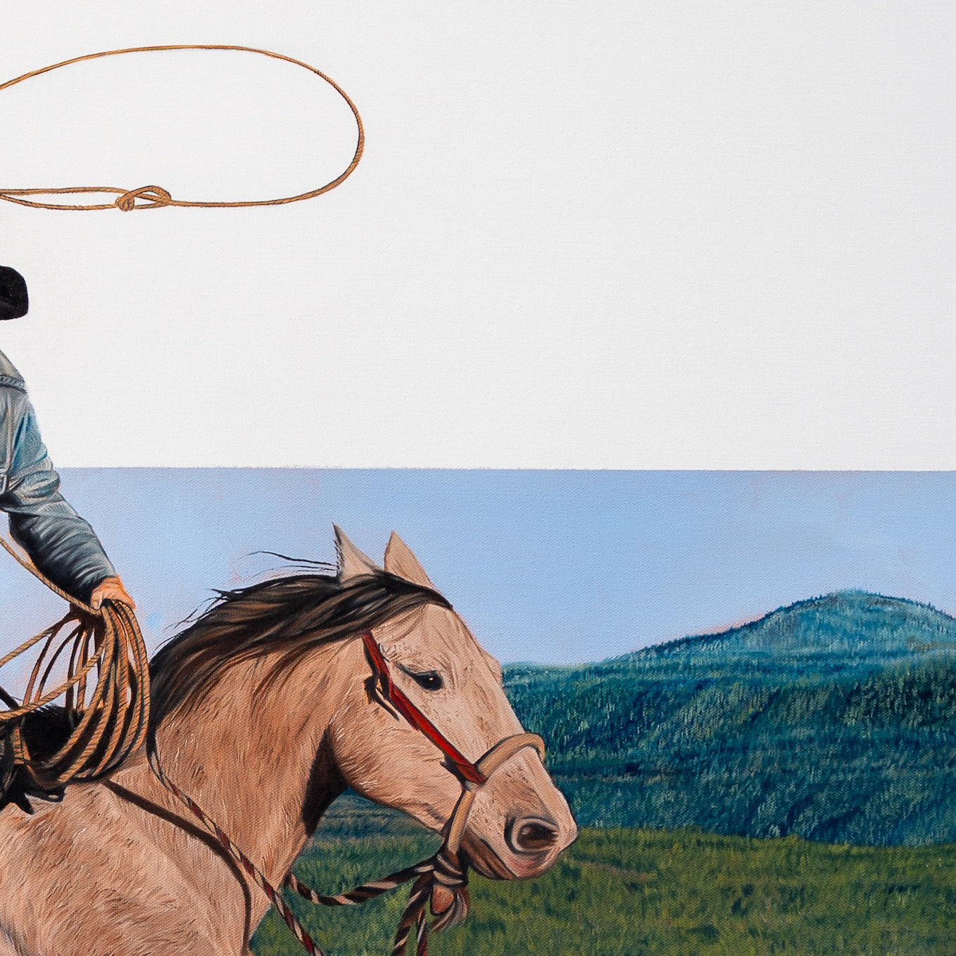 Horse with a rider holding a lasso against a mountainous landscape