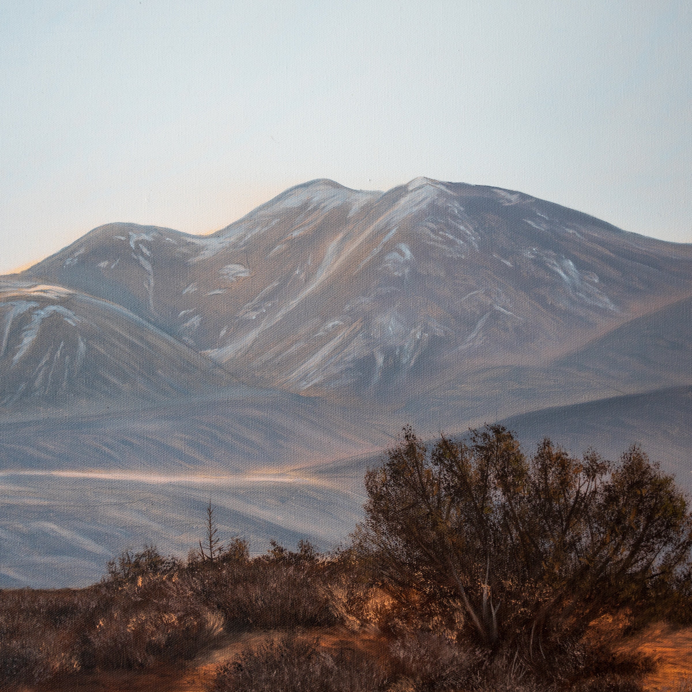 Mountain landscape with snow-capped peaks and desert vegetation.