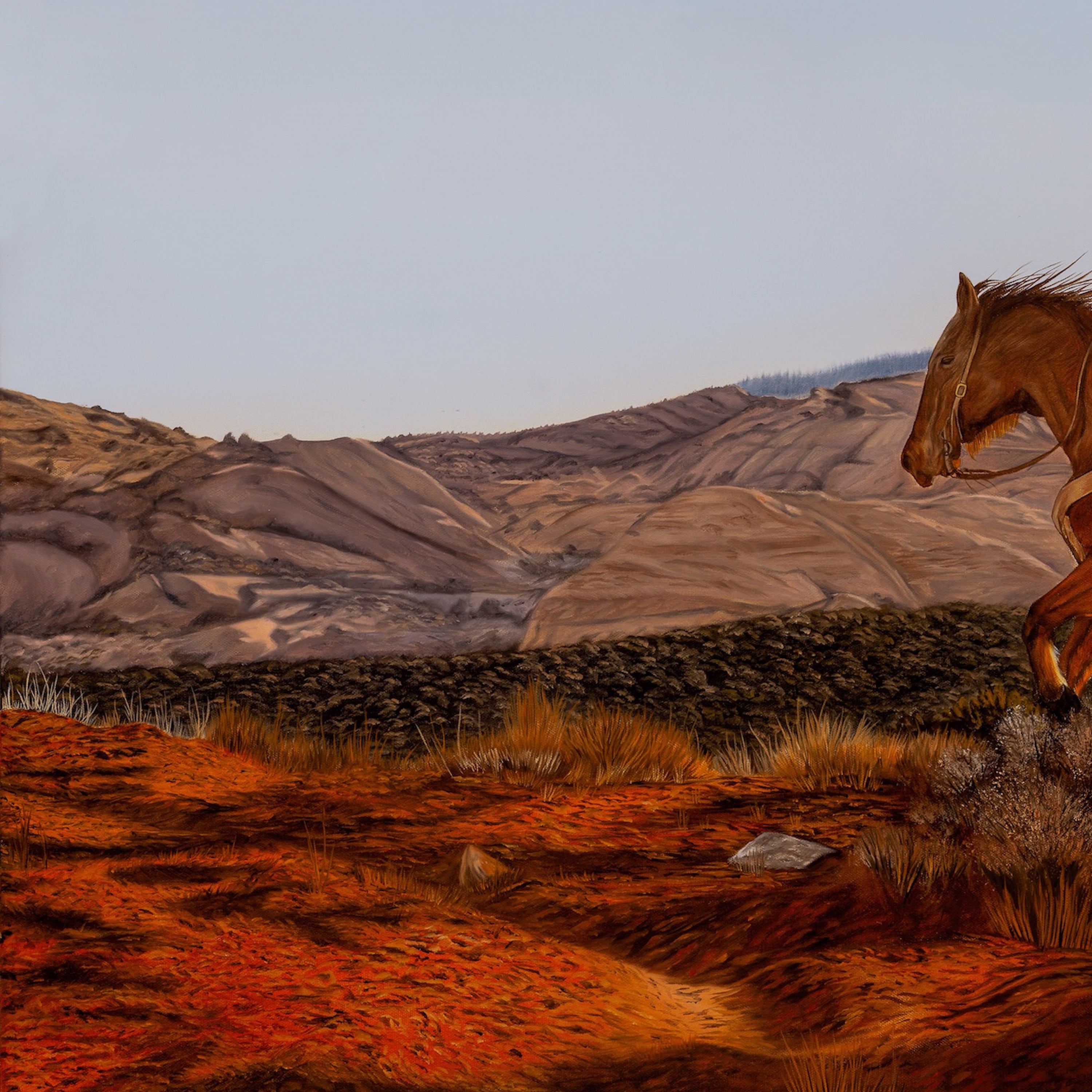 Horse standing in a desert landscape with rolling hills and clear sky