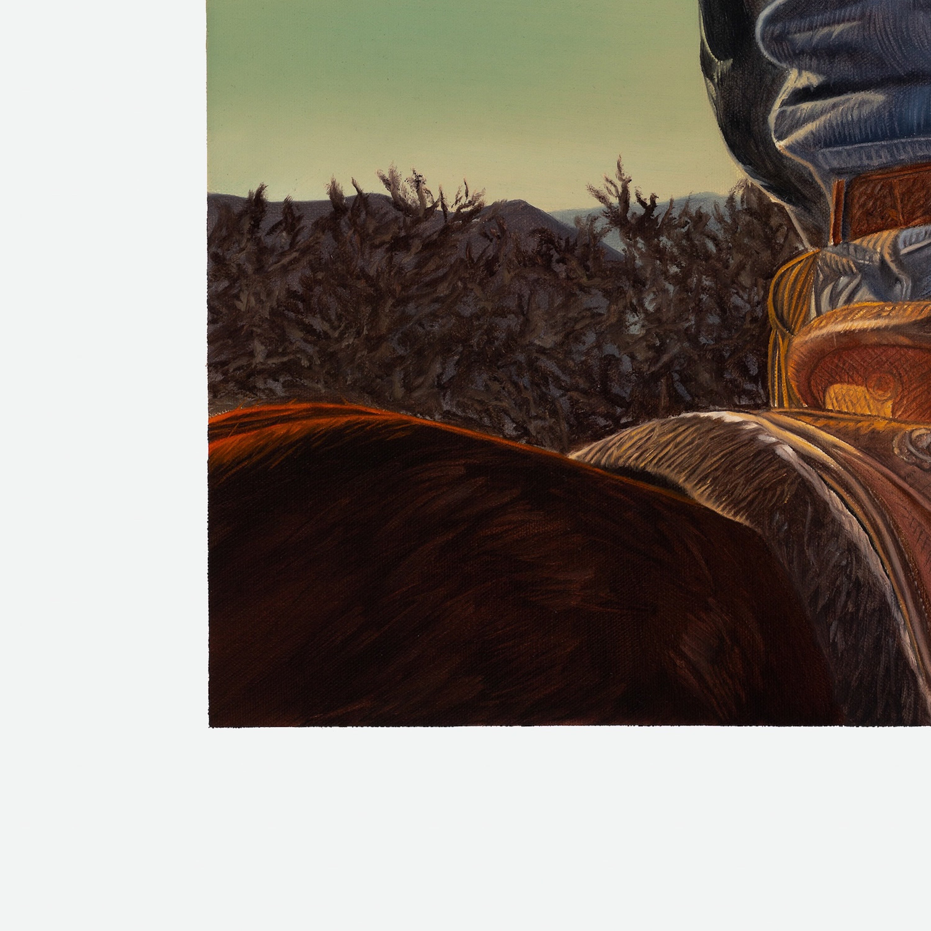 Close-up of a horse's head with a landscape in the background