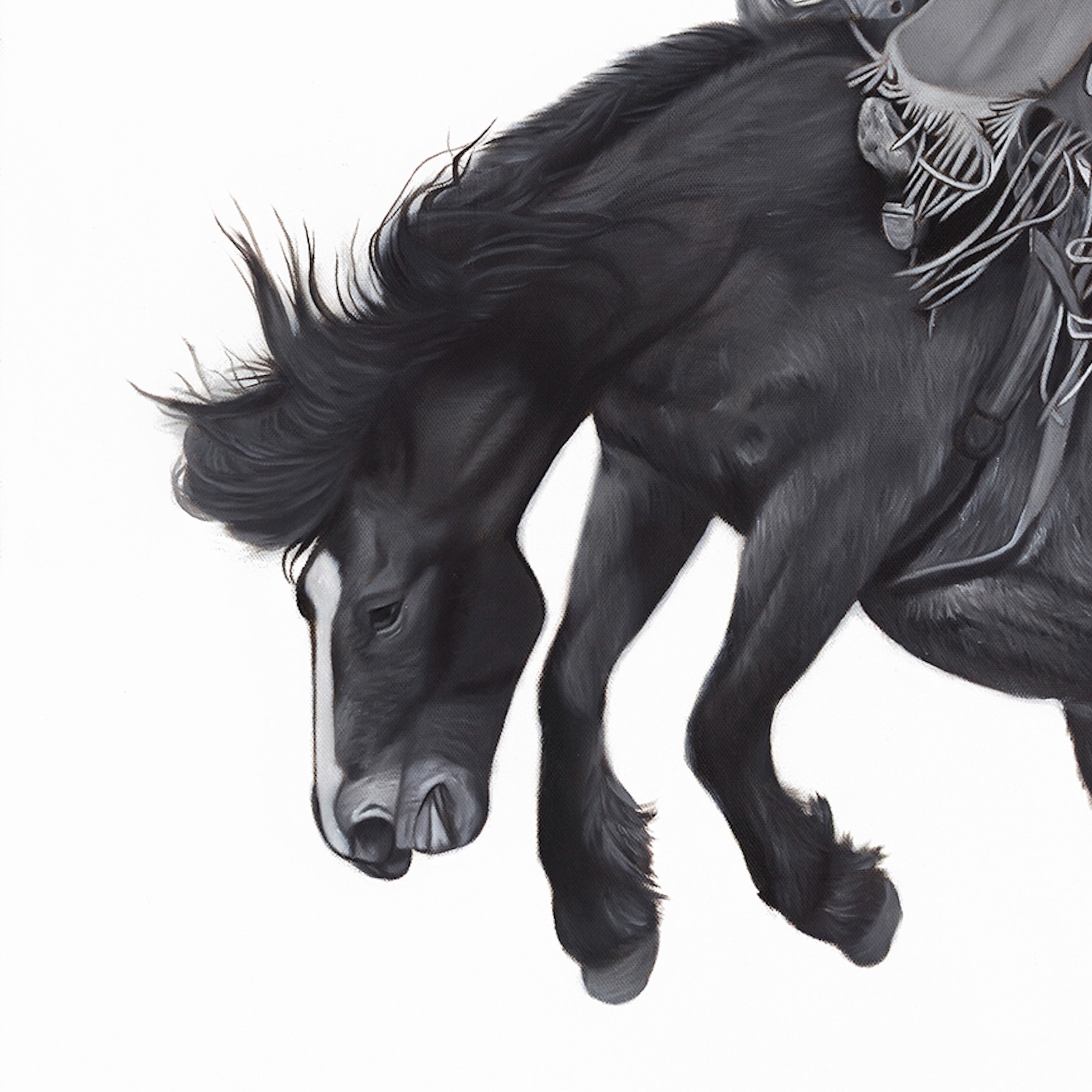 Black horse in mid-gallop with a rider on a white background