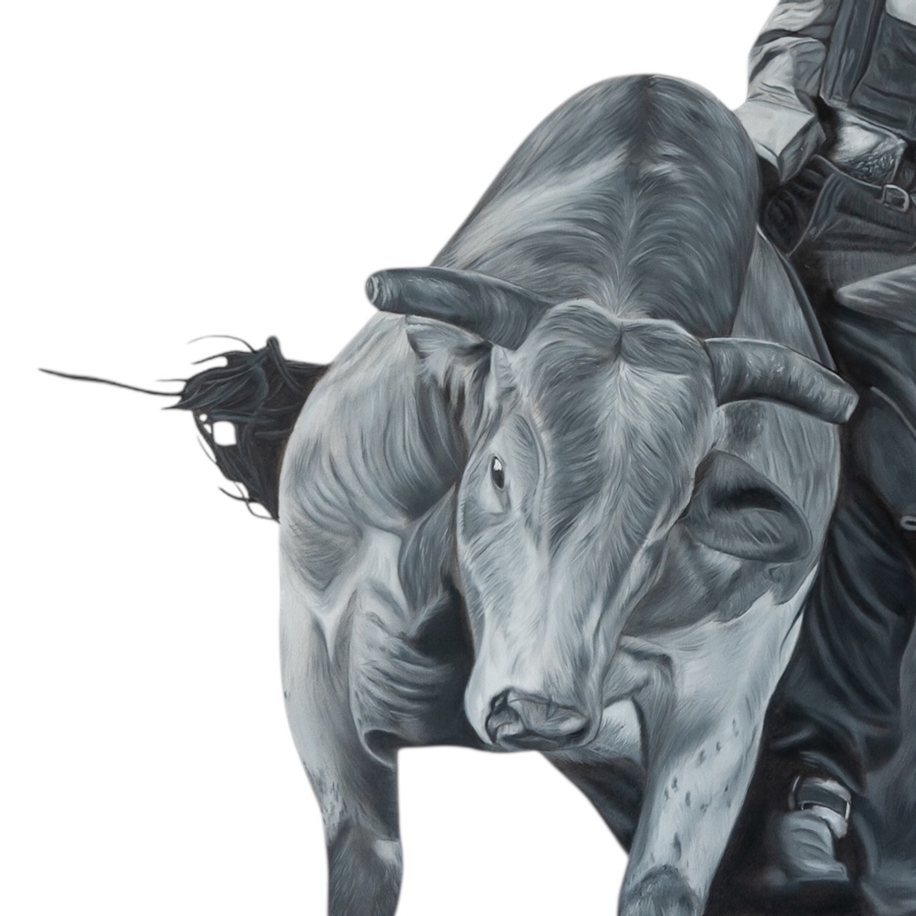 Artistic depiction of a bull and rider on a white background