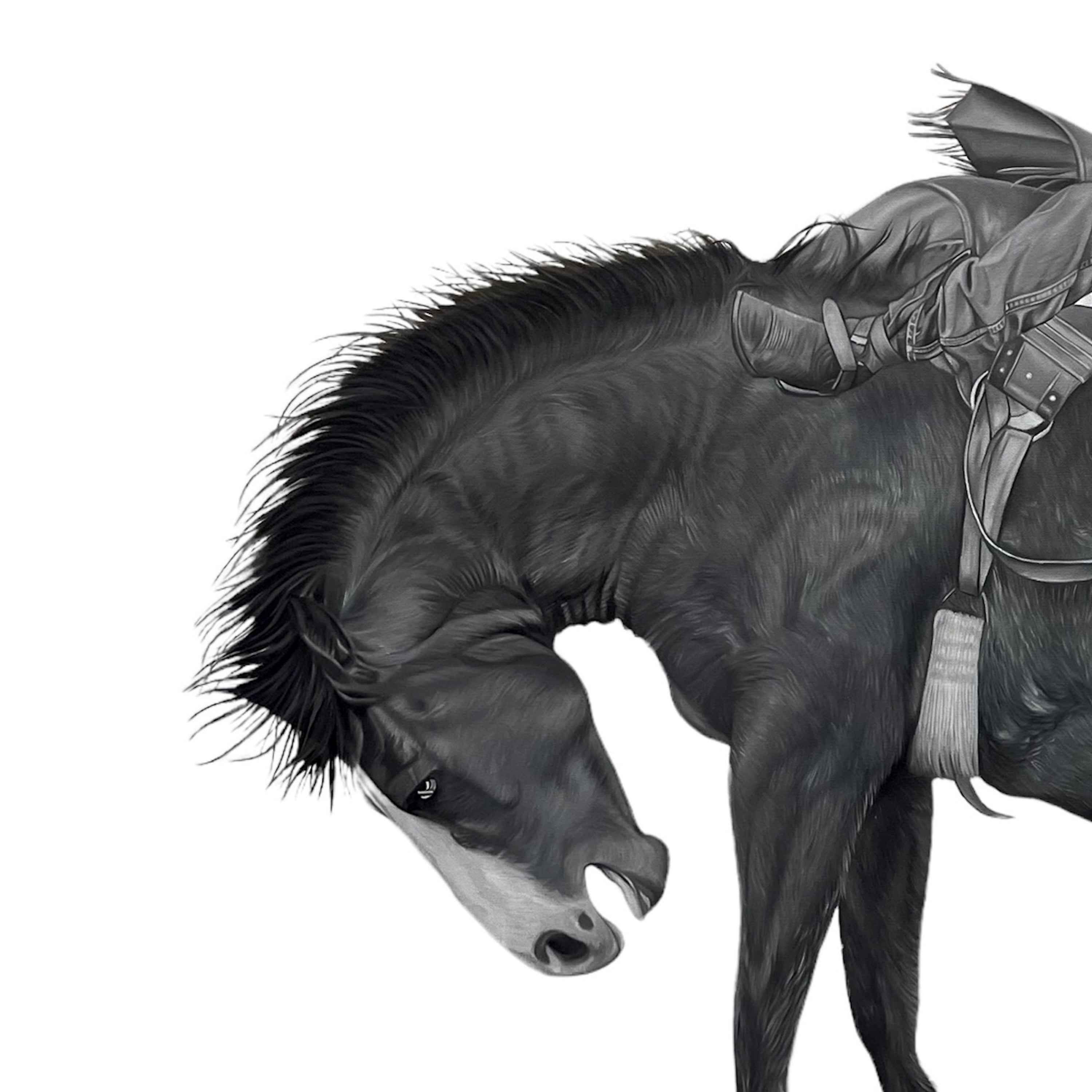 Black and white illustration of a horse with a rider on a white background