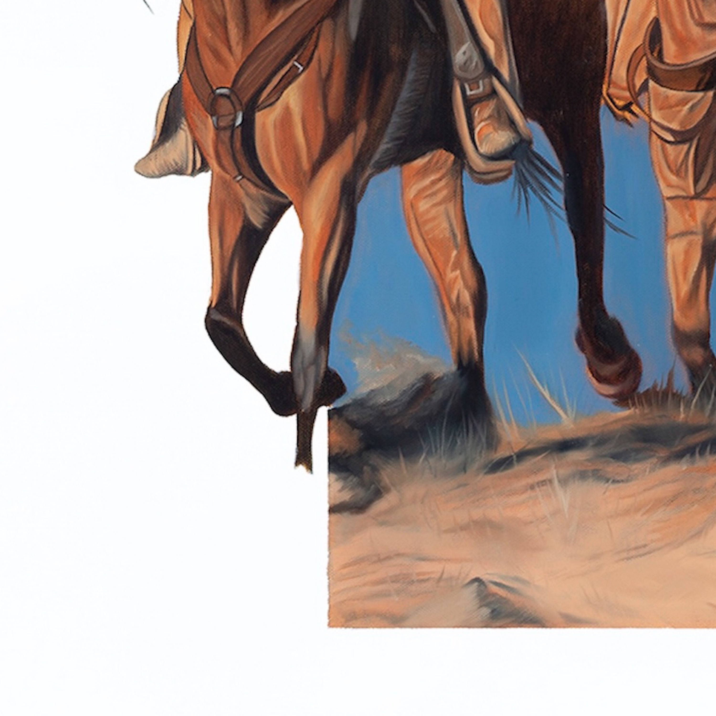 Close-up of a horse's legs and feet with a rider on a white background