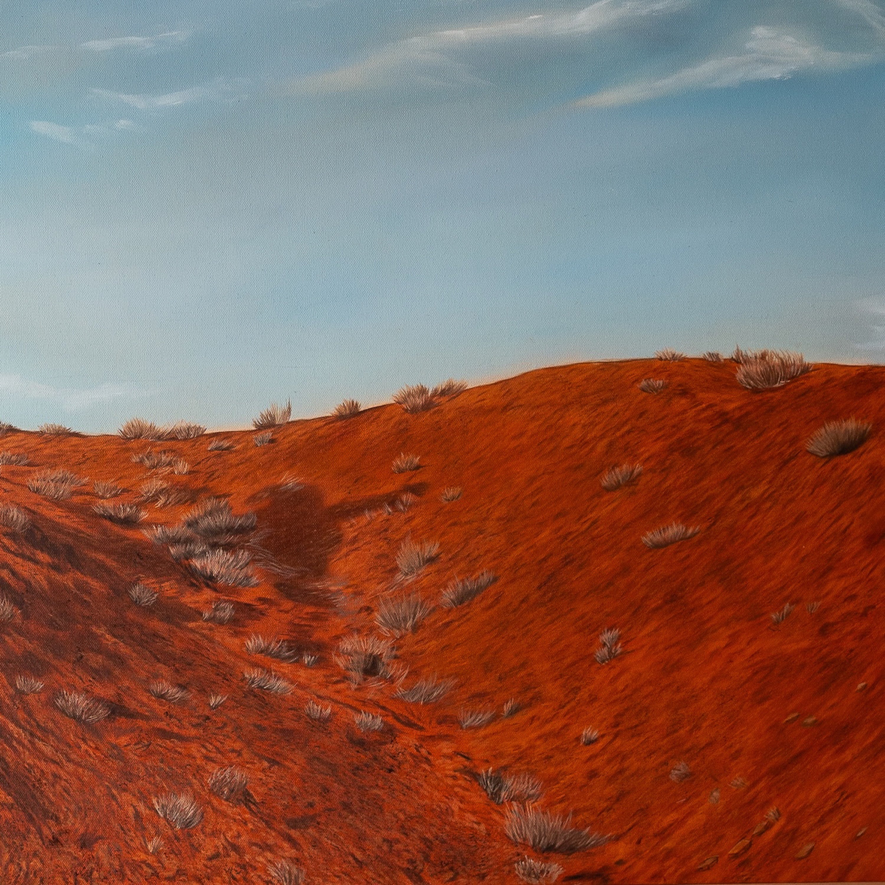 Red desert landscape with sparse vegetation under a blue sky.