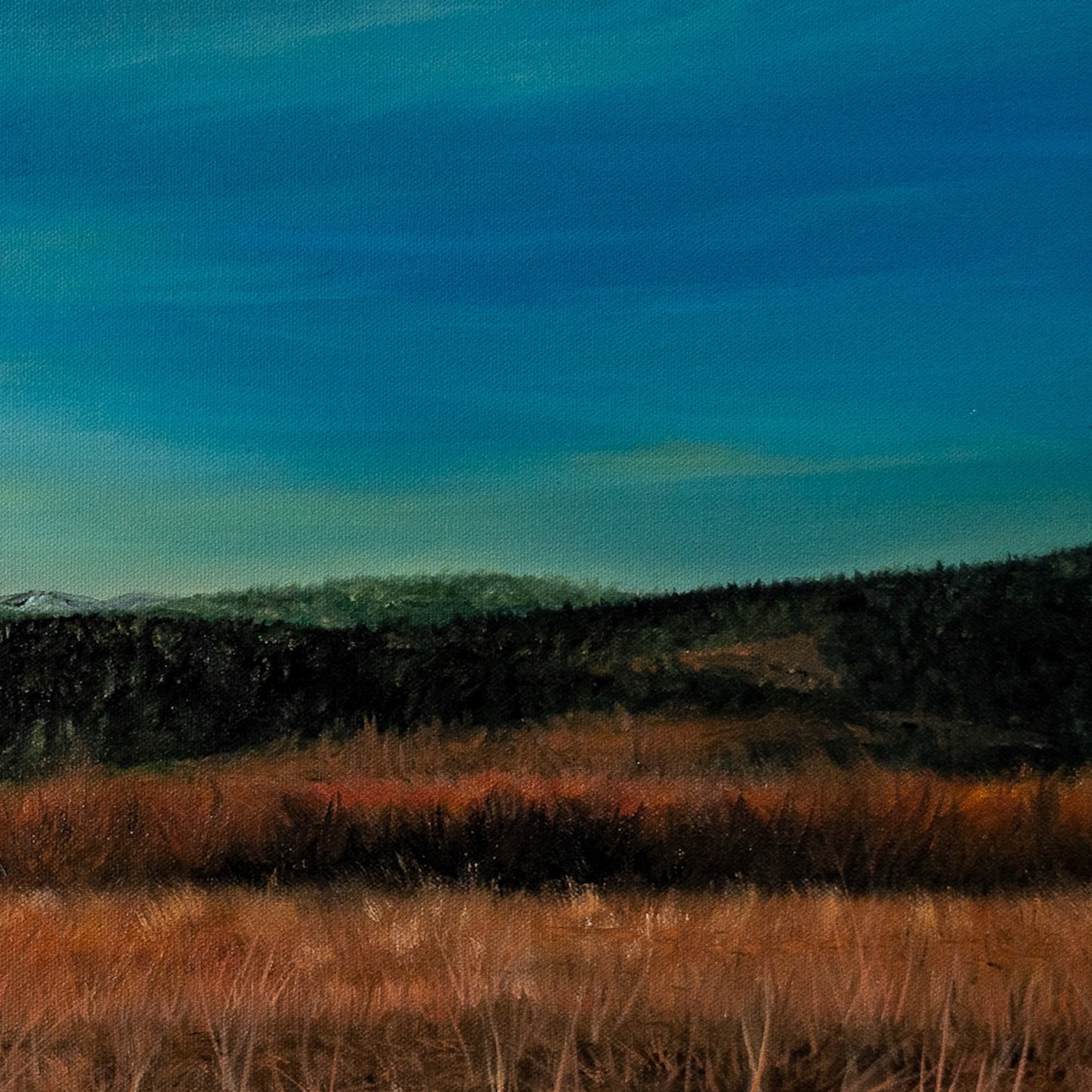 Painting of a landscape with a blue sky, green hills, and brown grass.
