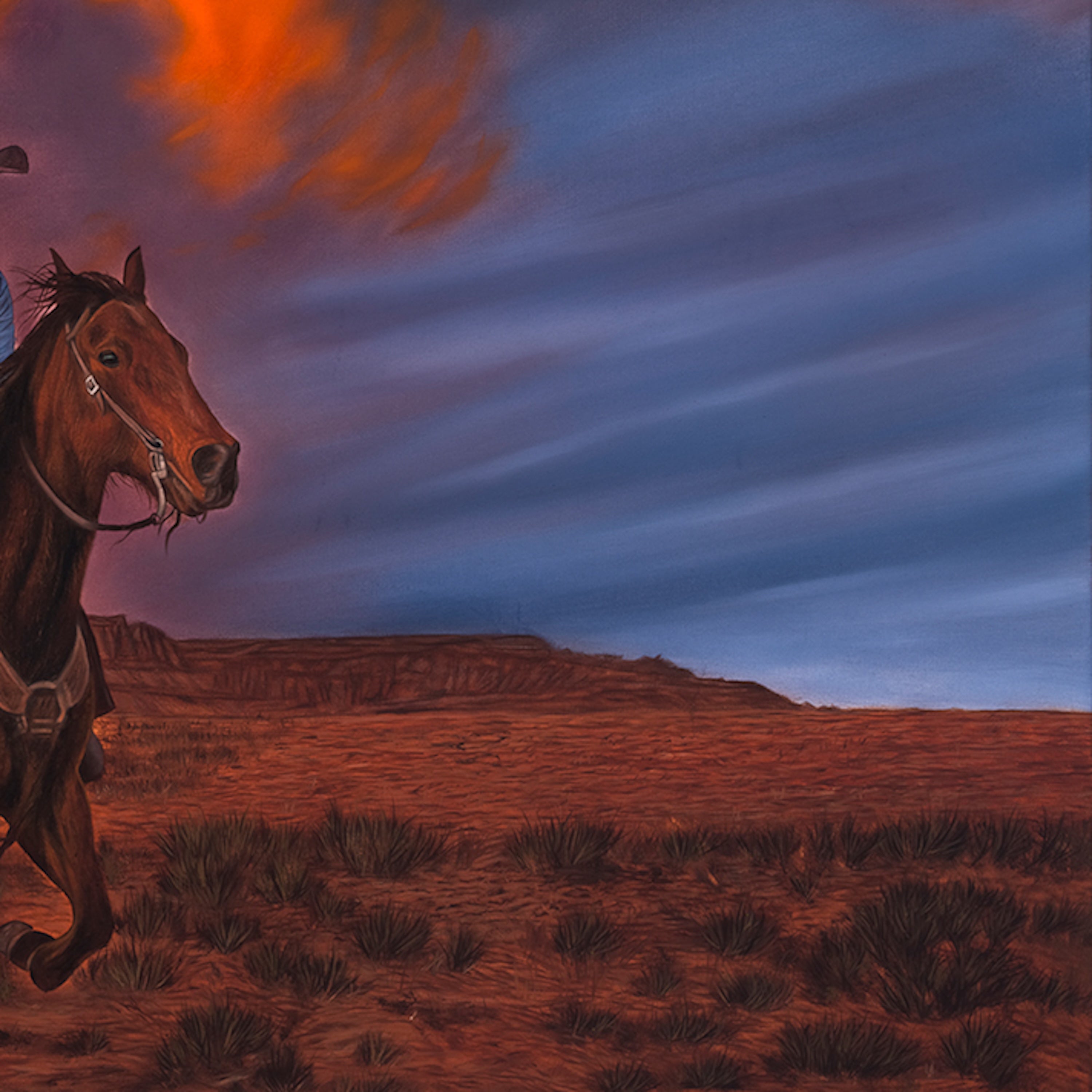 Horse in a desert landscape with a dramatic sky