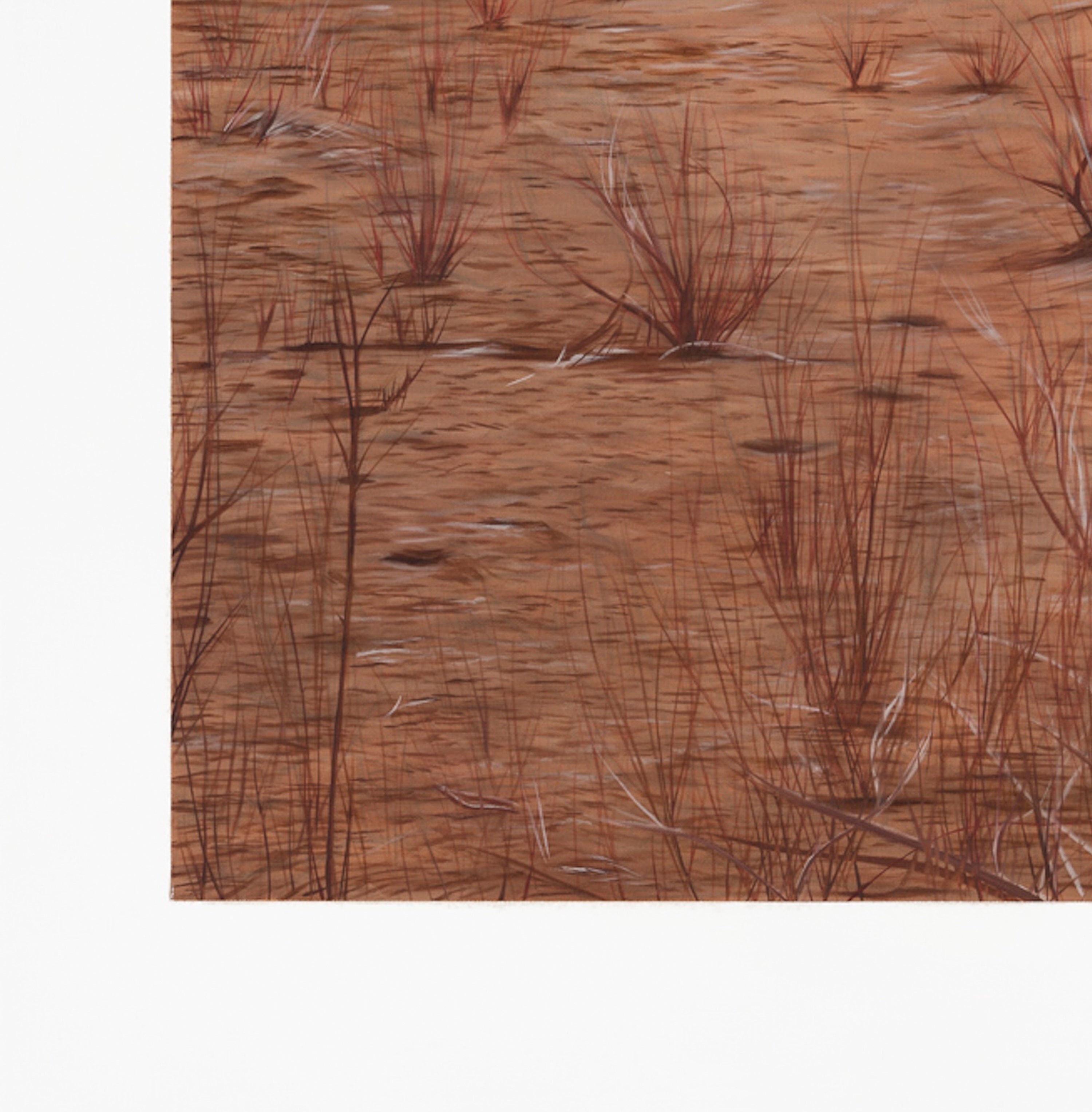 Looking Back on the Years Gone