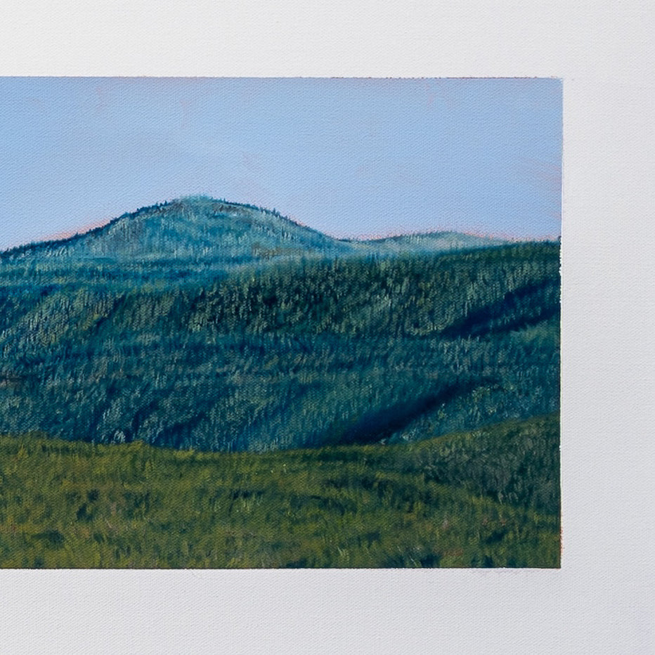 Mountain landscape with green trees and grass under a clear blue sky