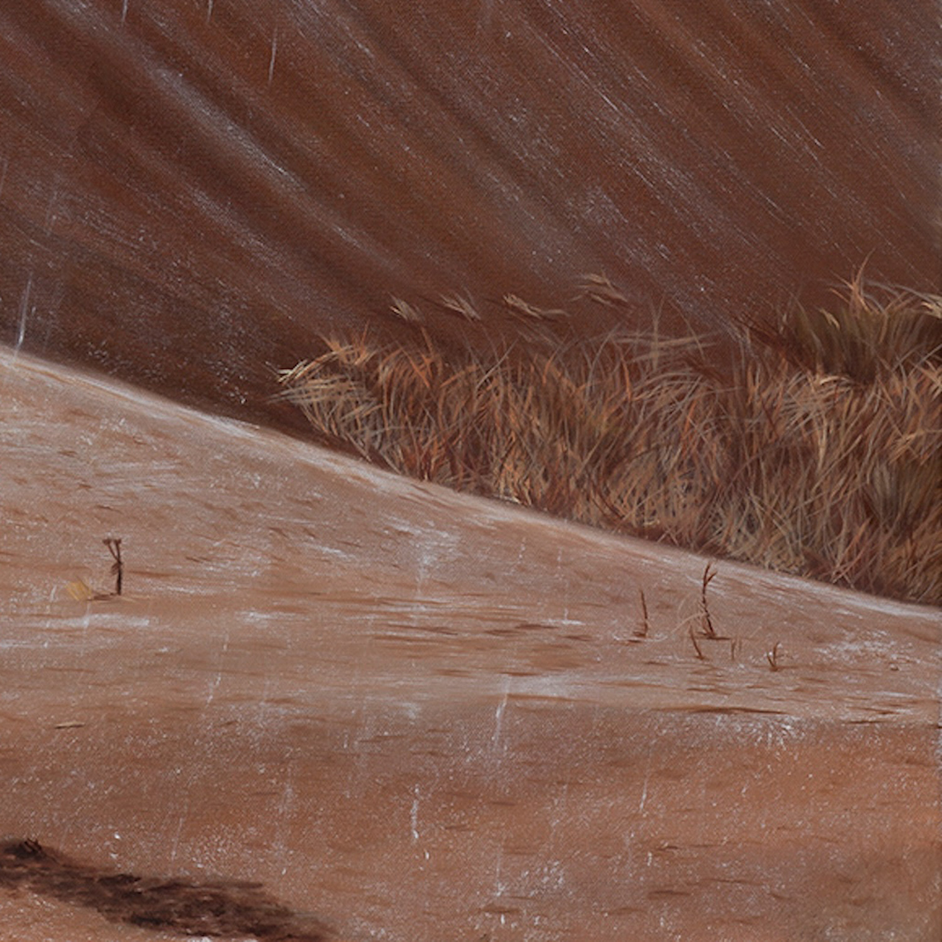 Rolling Thunder Pouring Rain