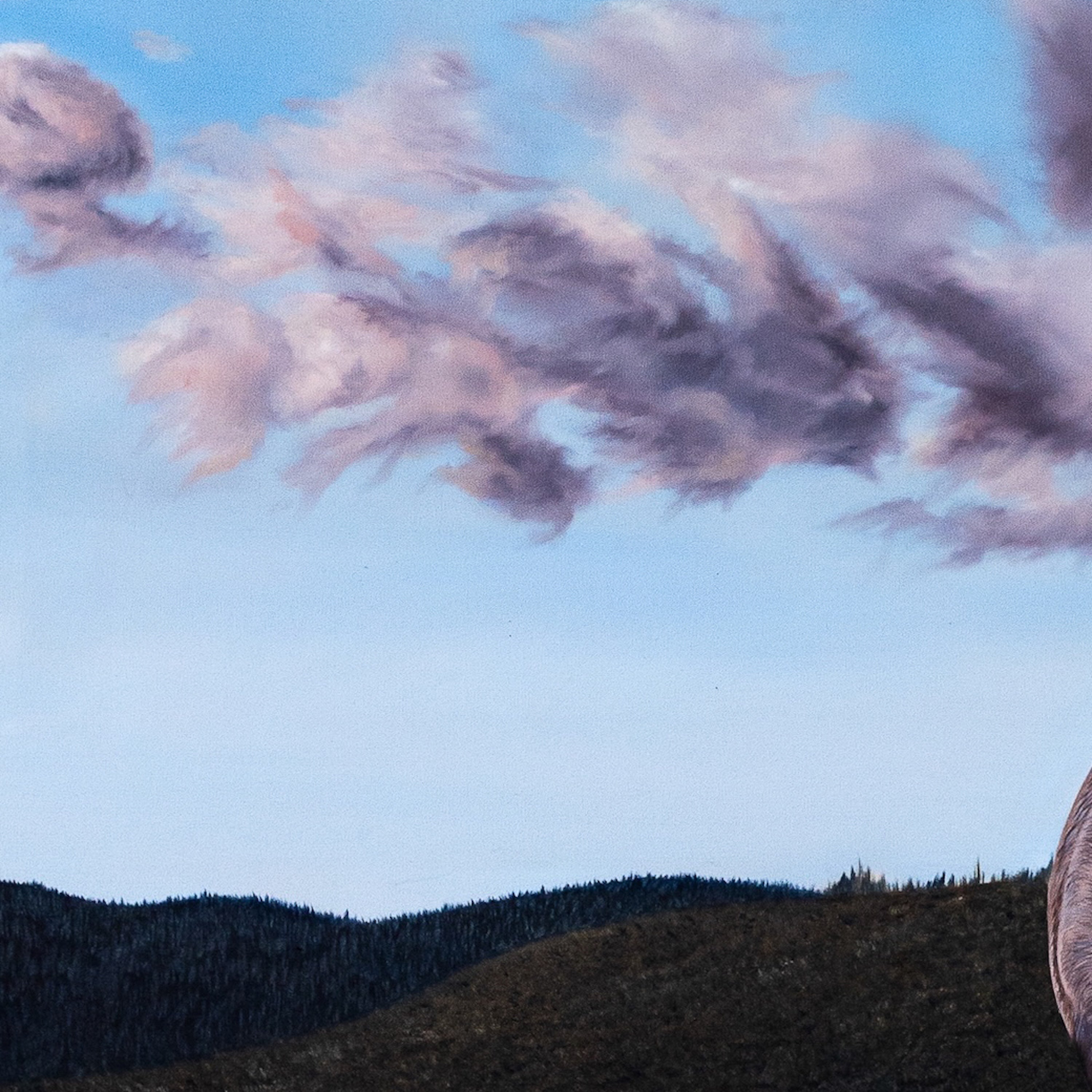 Tommorrow Feels Too Late