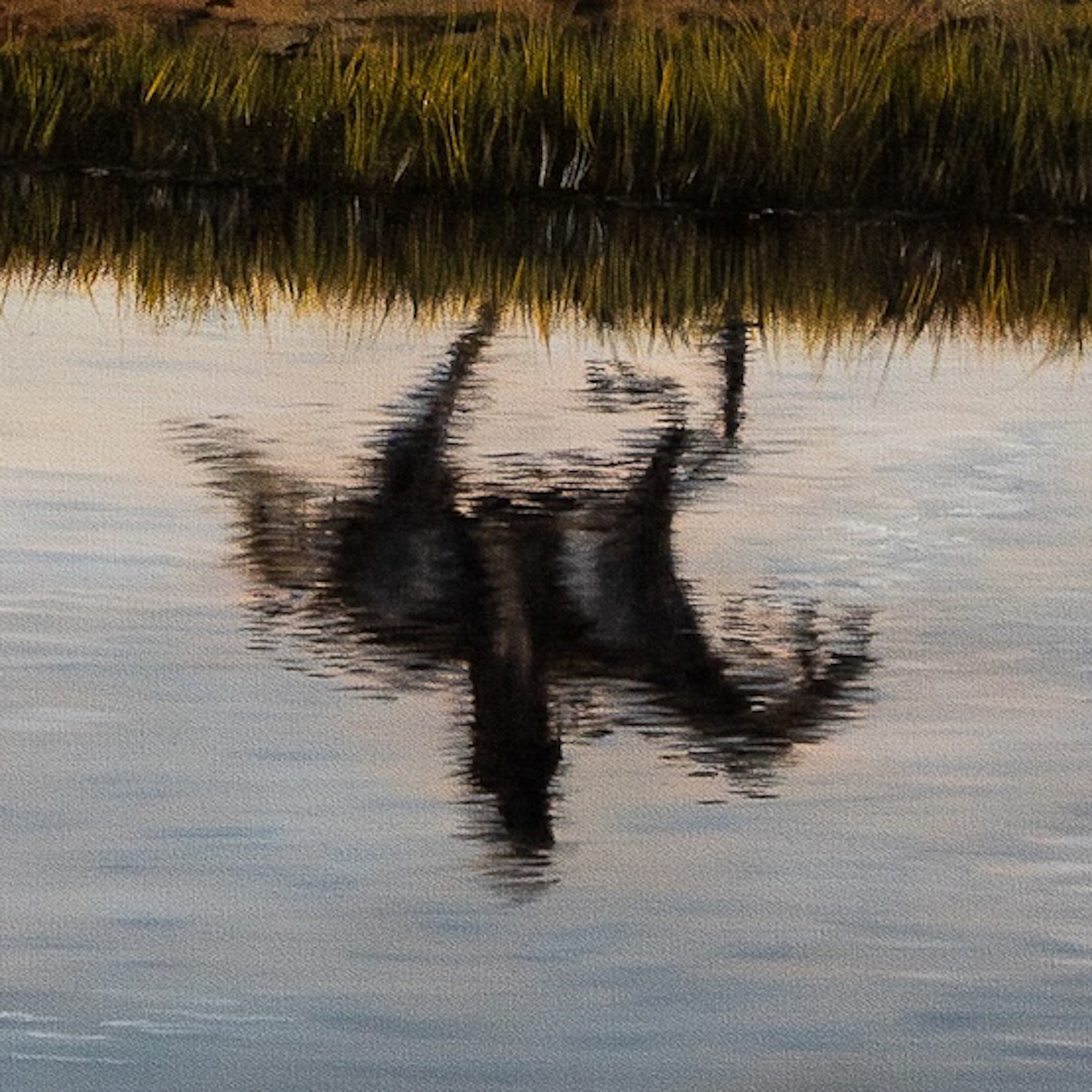 Welcome Anwhere With Nowhere To Go