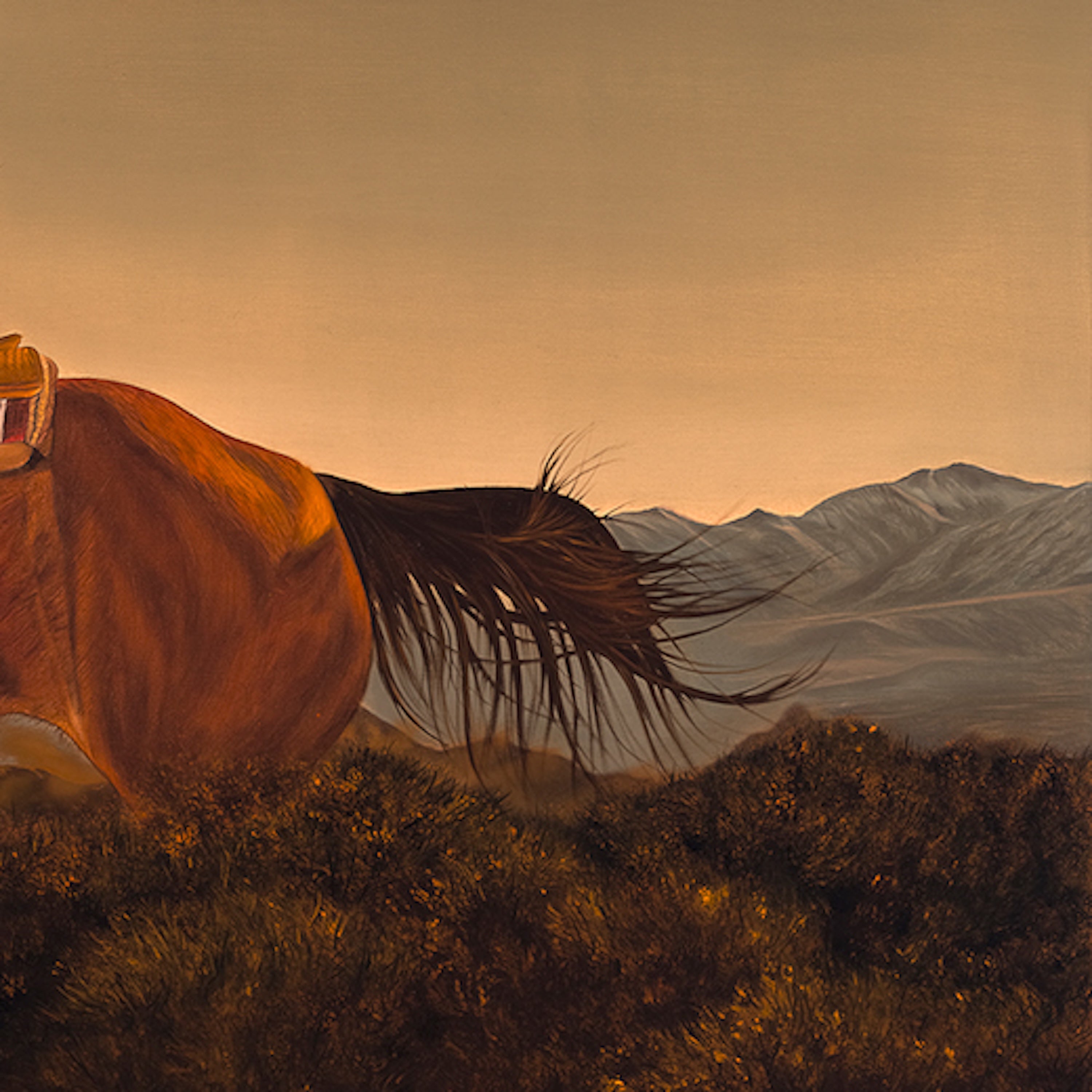 What I Thought Ws Never Real