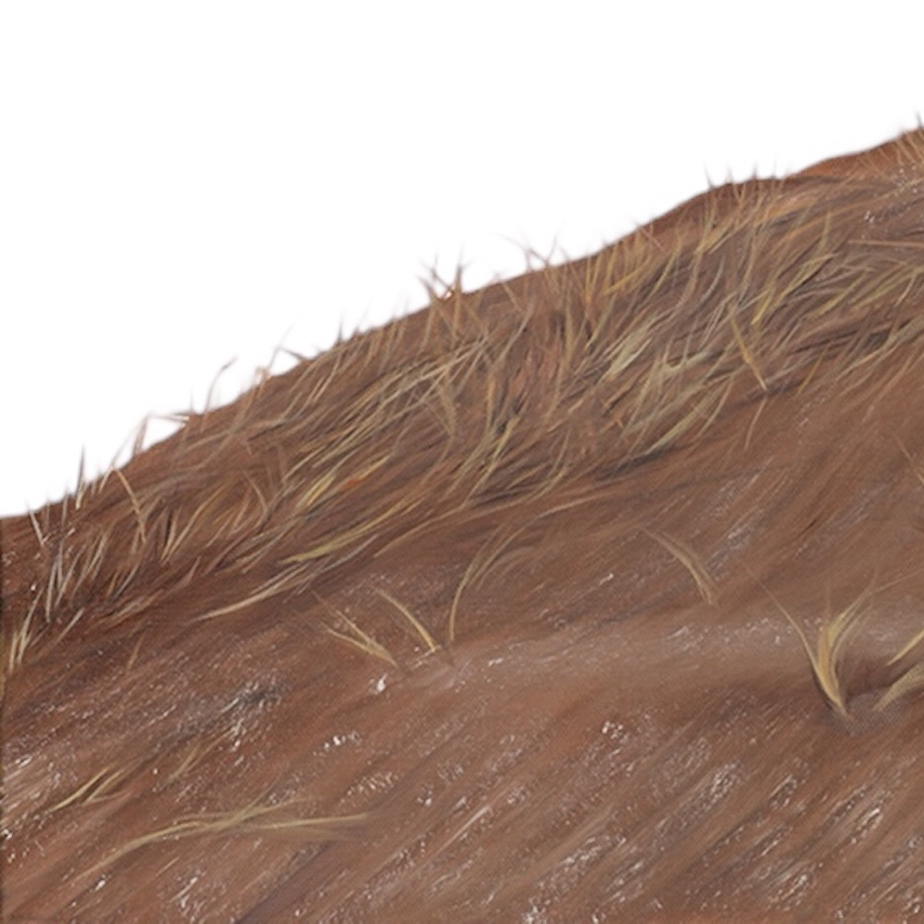 Close-up of brown fur with visible hair shafts on a white background