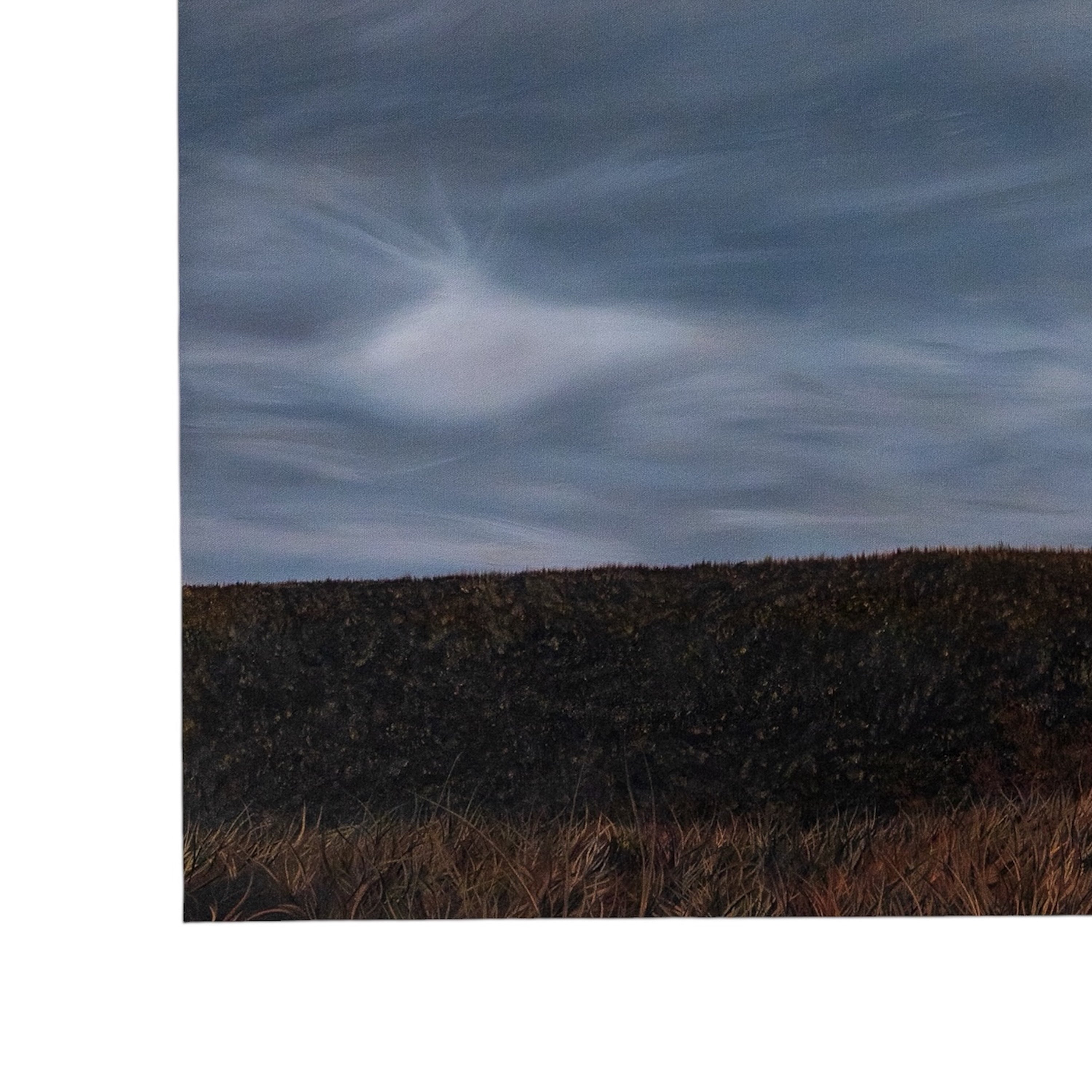 You too Shall Bear This Cross